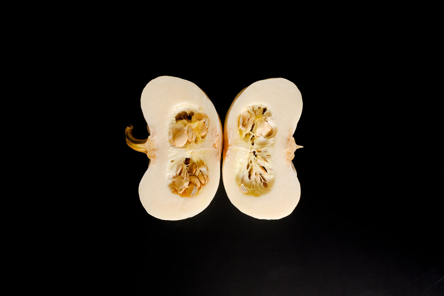 15 WHITE Baby Boo MINI PUMPKIN Miniature Cucurbita Pepo Vegetable Seeds