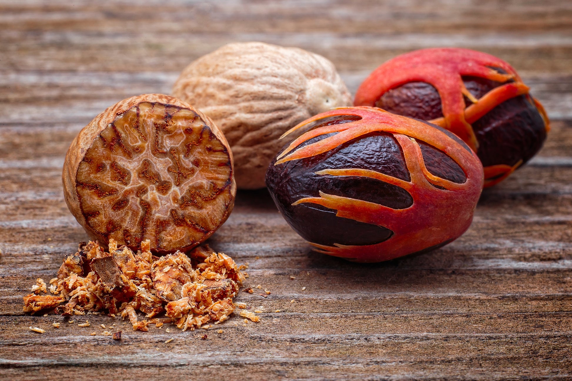 nutmeg seeds for planting 1 NUTMEG TREE Seed Myristica Fragrans Pala MACE Fruit Nut Pumpkin Pie Spice
