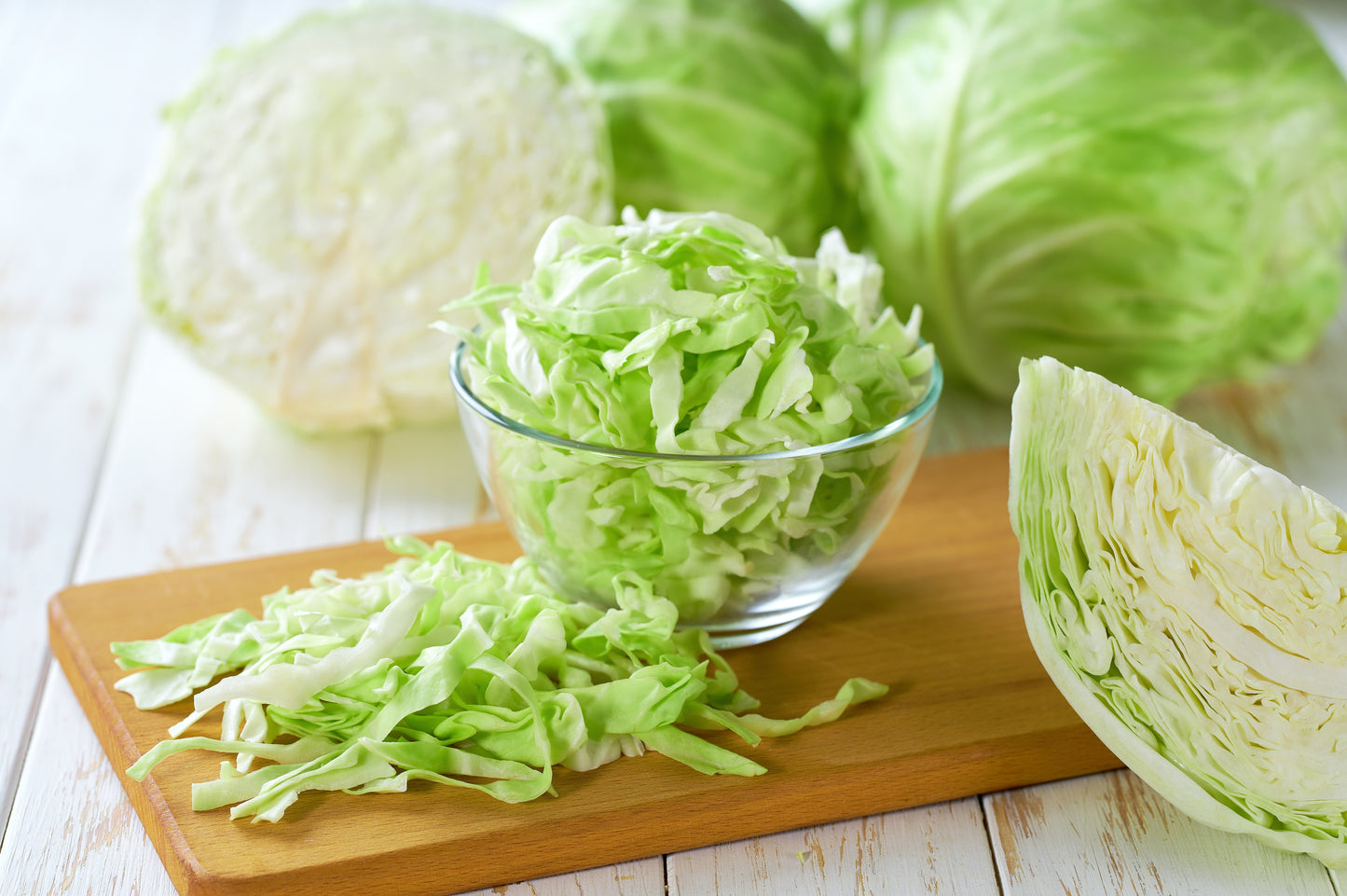 500 COPENHAGEN MARKET Early CABBAGE Heirloom Brassica Oleracea Vegetable Seeds