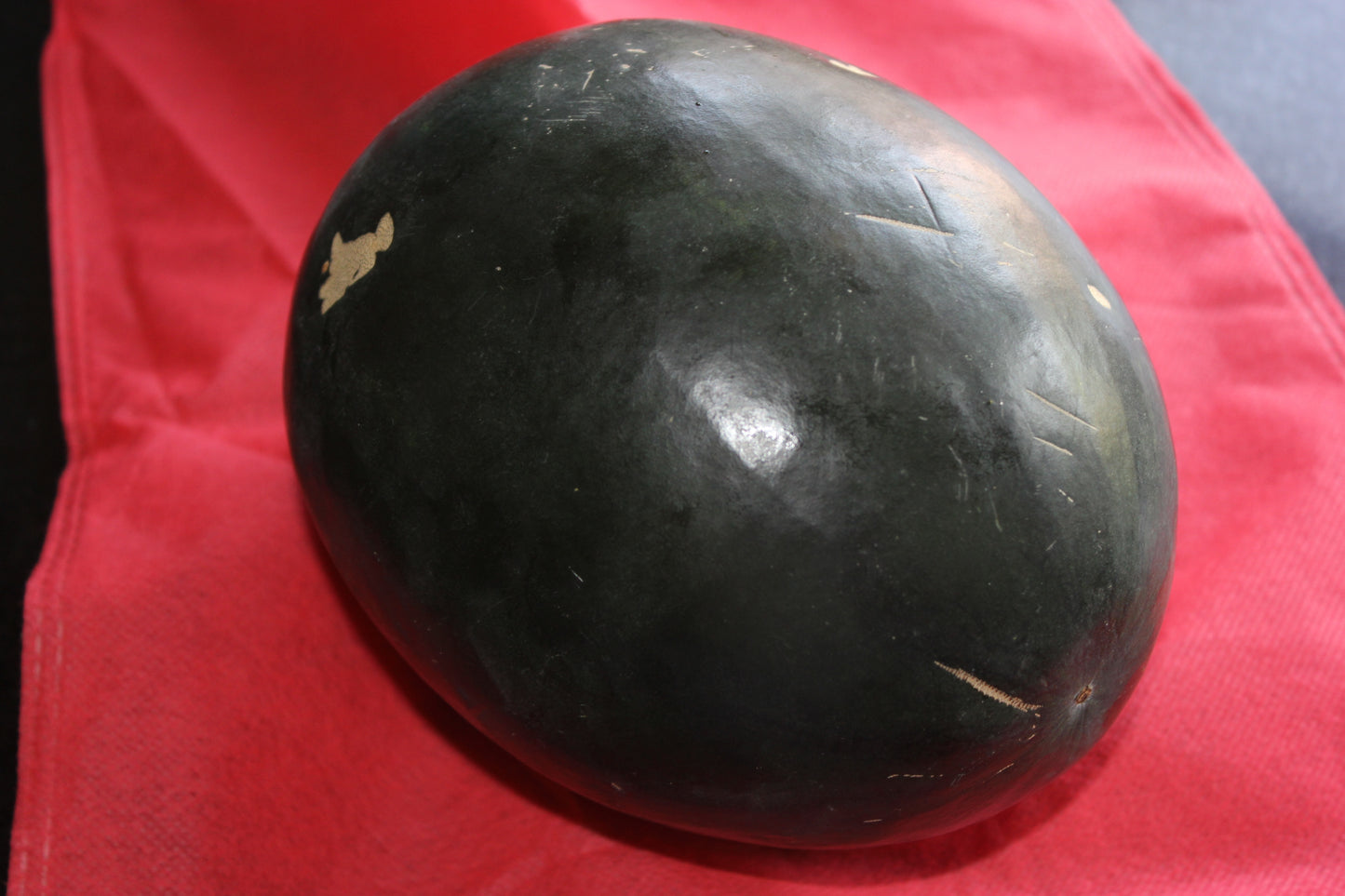 100 SUGAR BABY WATERMELON Citrullus lanatus Fruit Melon Seeds