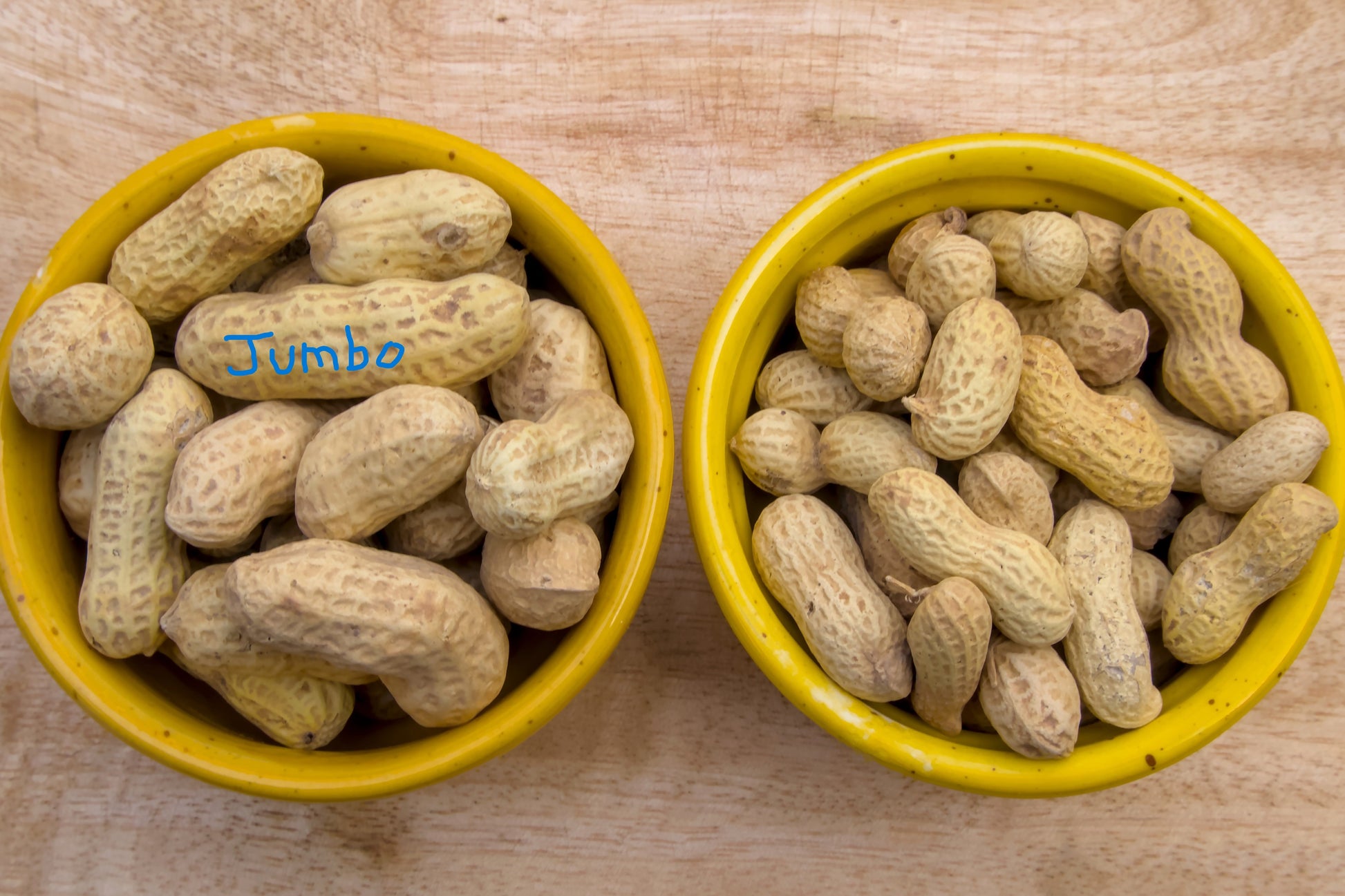 jumbo peanut seeds for planting 15 Seeds ' JUMBO ' VIRGINIA PEANUT Arachis Hypogaea Perennial Nut Plant