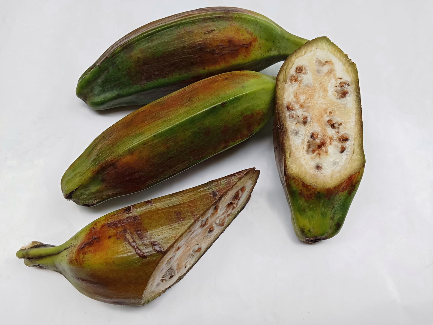 5 PLANTAIN BANANA Musa Balbisiana Hardy Red Flowering Sweet Wild Fruit Tree Seeds