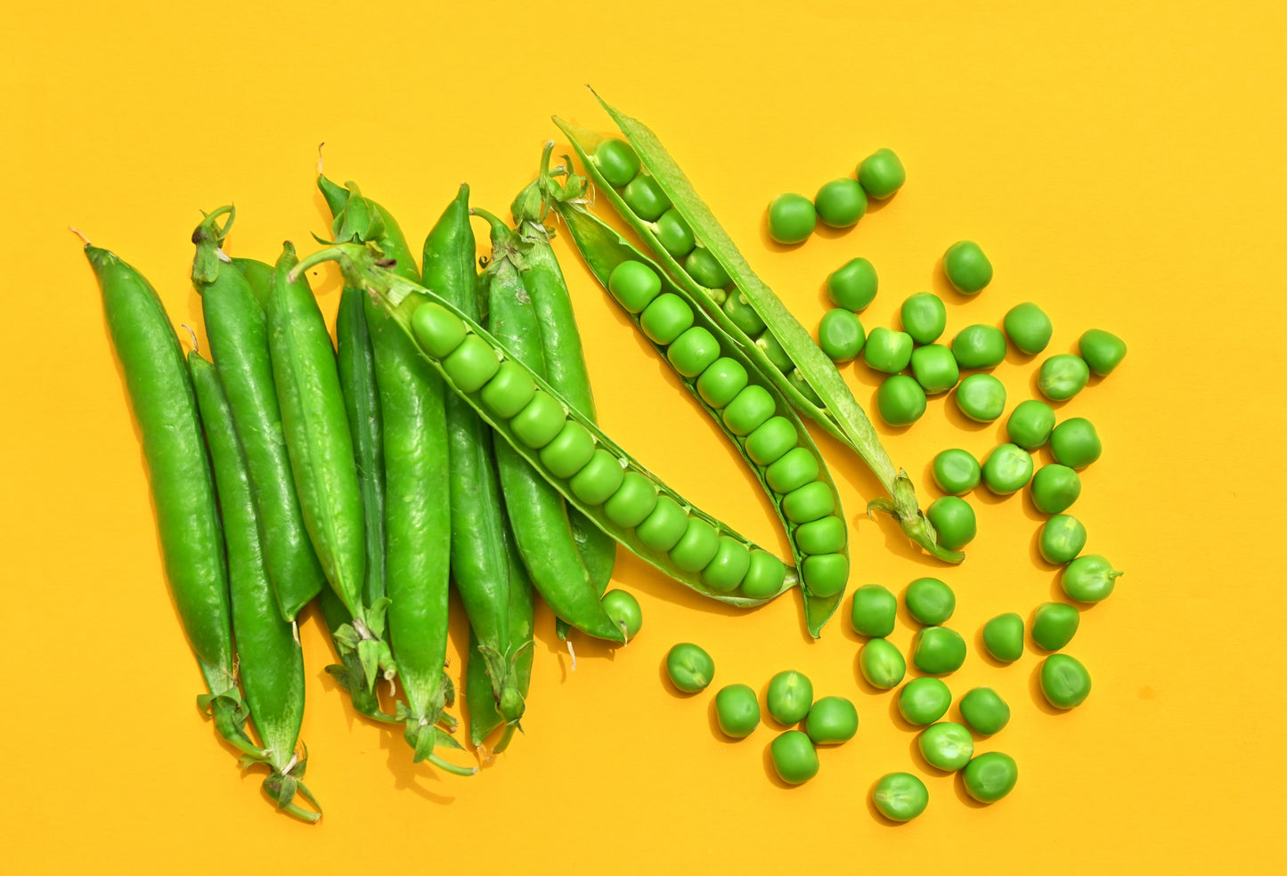 50 GREEN ARROW PEA Heirloom Shelling English Pisum Sativum Vegetable Seeds