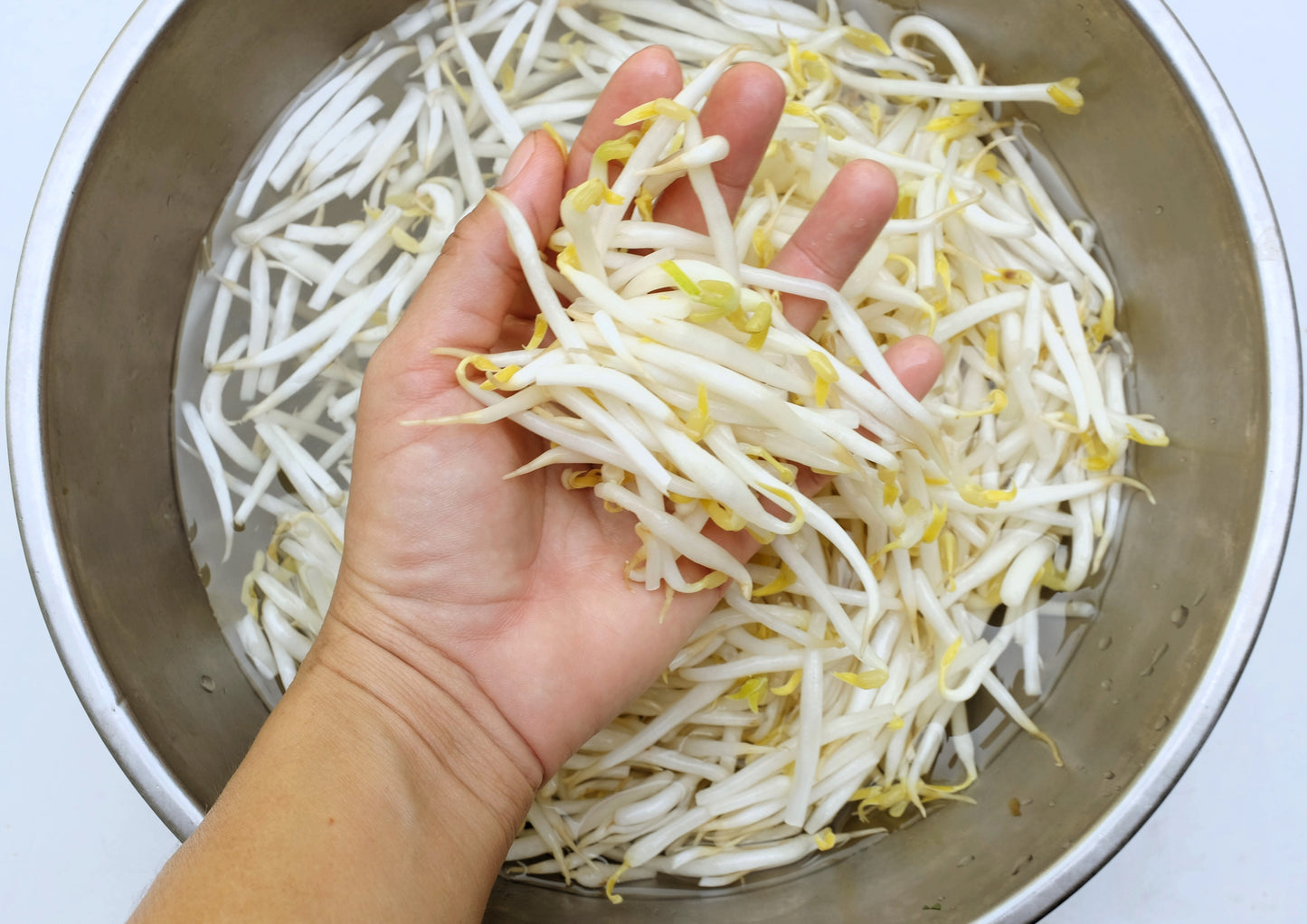 150 MUNG BEAN Moong Sprouts Golden Gram Green Vigna Radiata Vegetable Seeds