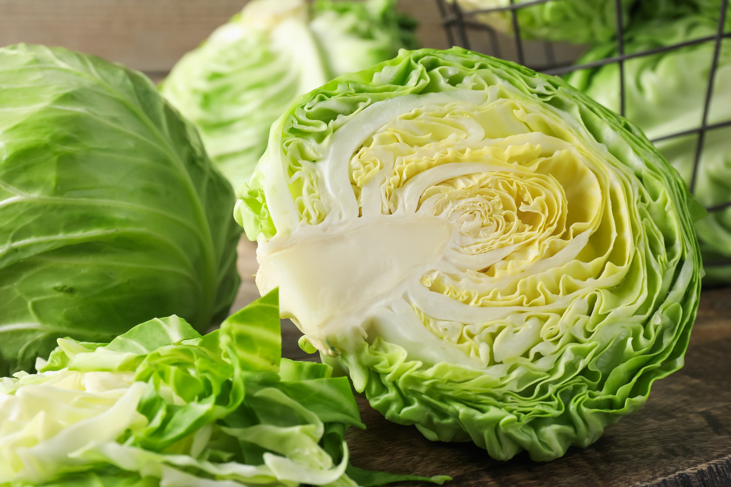 500 COPENHAGEN MARKET Early CABBAGE Heirloom Brassica Oleracea Vegetable Seeds