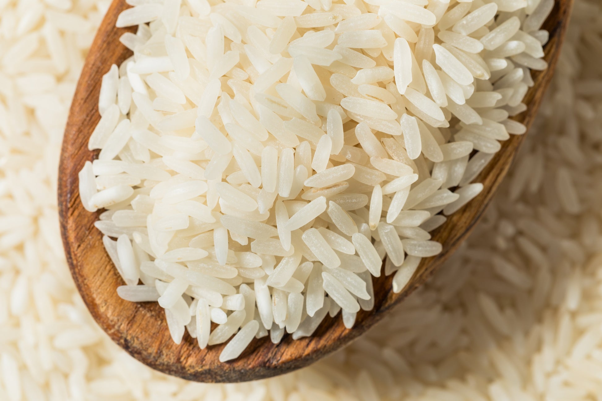 white rice seeds for planting 100 Long Grain BROWN WHITE RICE Oryza Sativa Vegetable Seeds