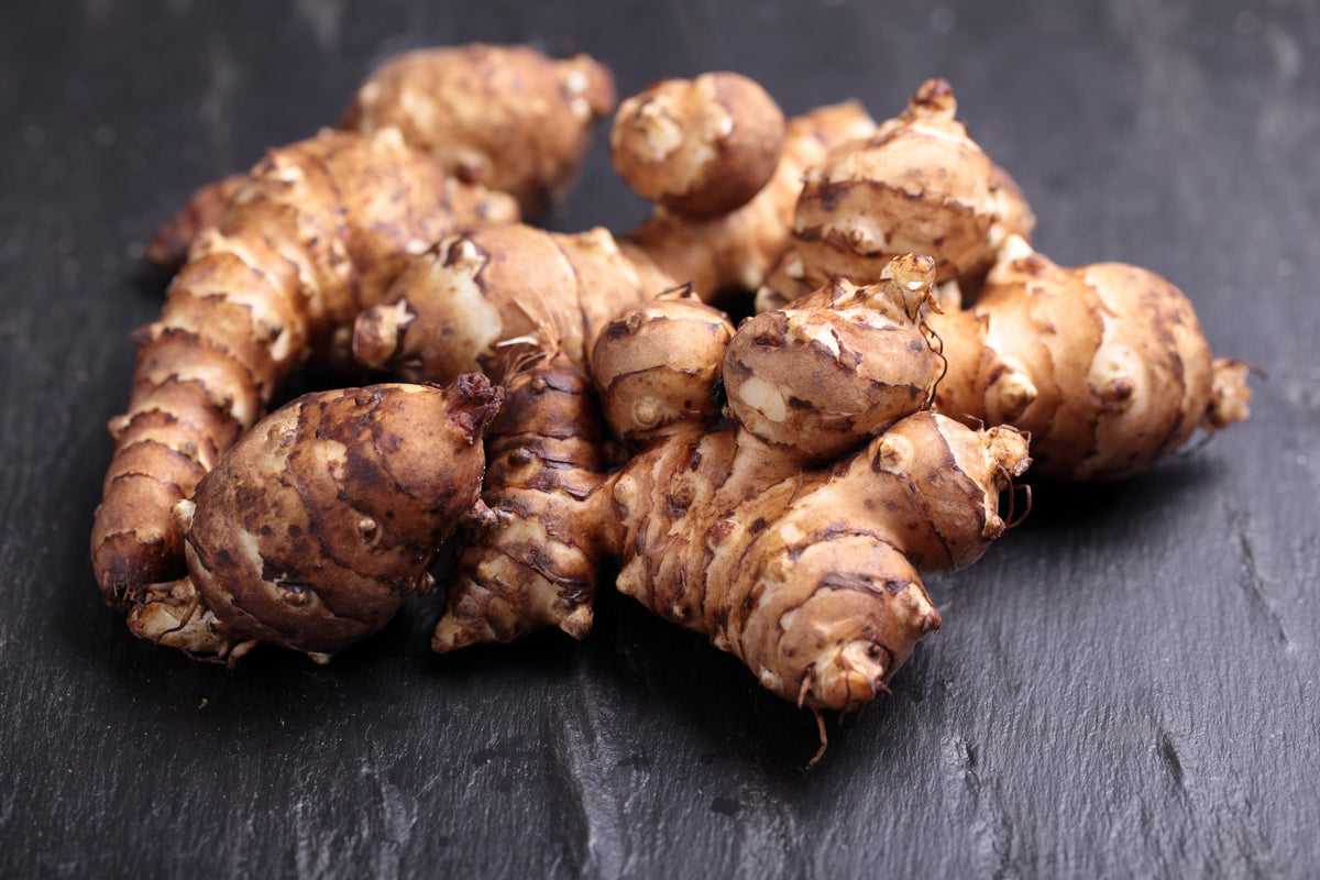 20 JERUSALEM ARTICHOKE Sunchoke Sunroot Helianthus Tuberosus Yellow Su ...