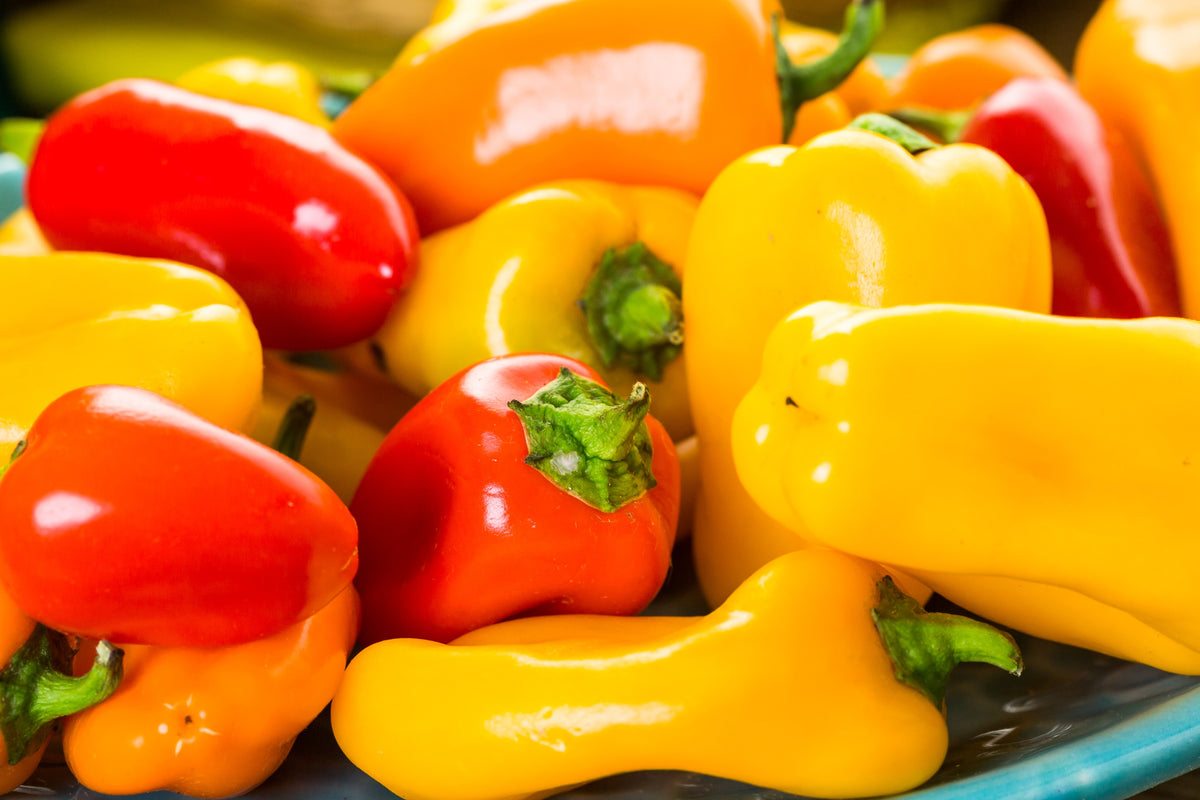 200 SANTA Fe GRANDE PEPPER ( Hot Guero Chili Pepper ) Capsicum Annuum Vegetable Seeds