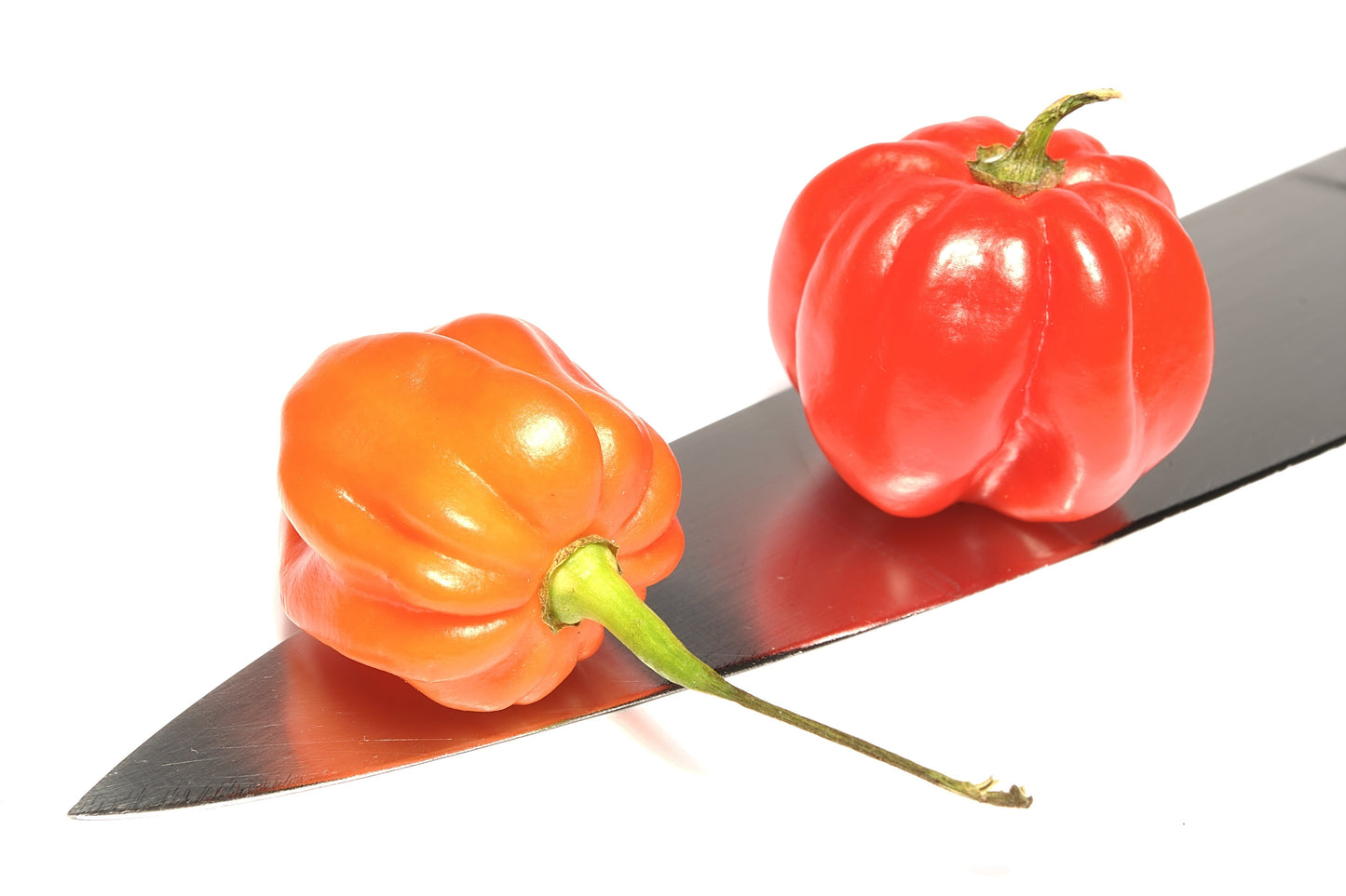 40 Orange SCOTCH BONNET PEPPER very hot Jamaican Capsicum Chinense Vegetable Seeds