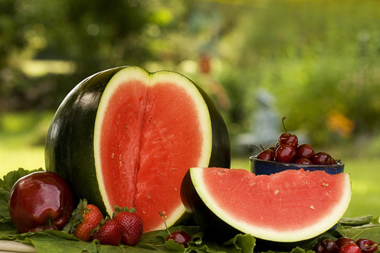 100 SUGAR BABY WATERMELON Citrullus lanatus Fruit Melon Seeds