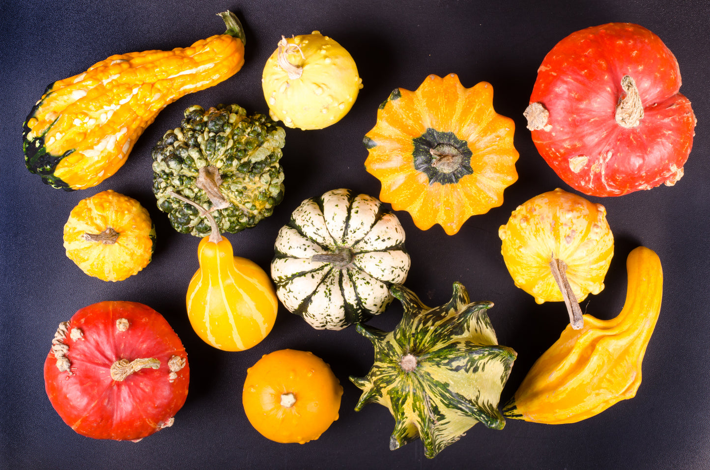 30 MIXED GOURD Lagenaria Siceraria Seeds