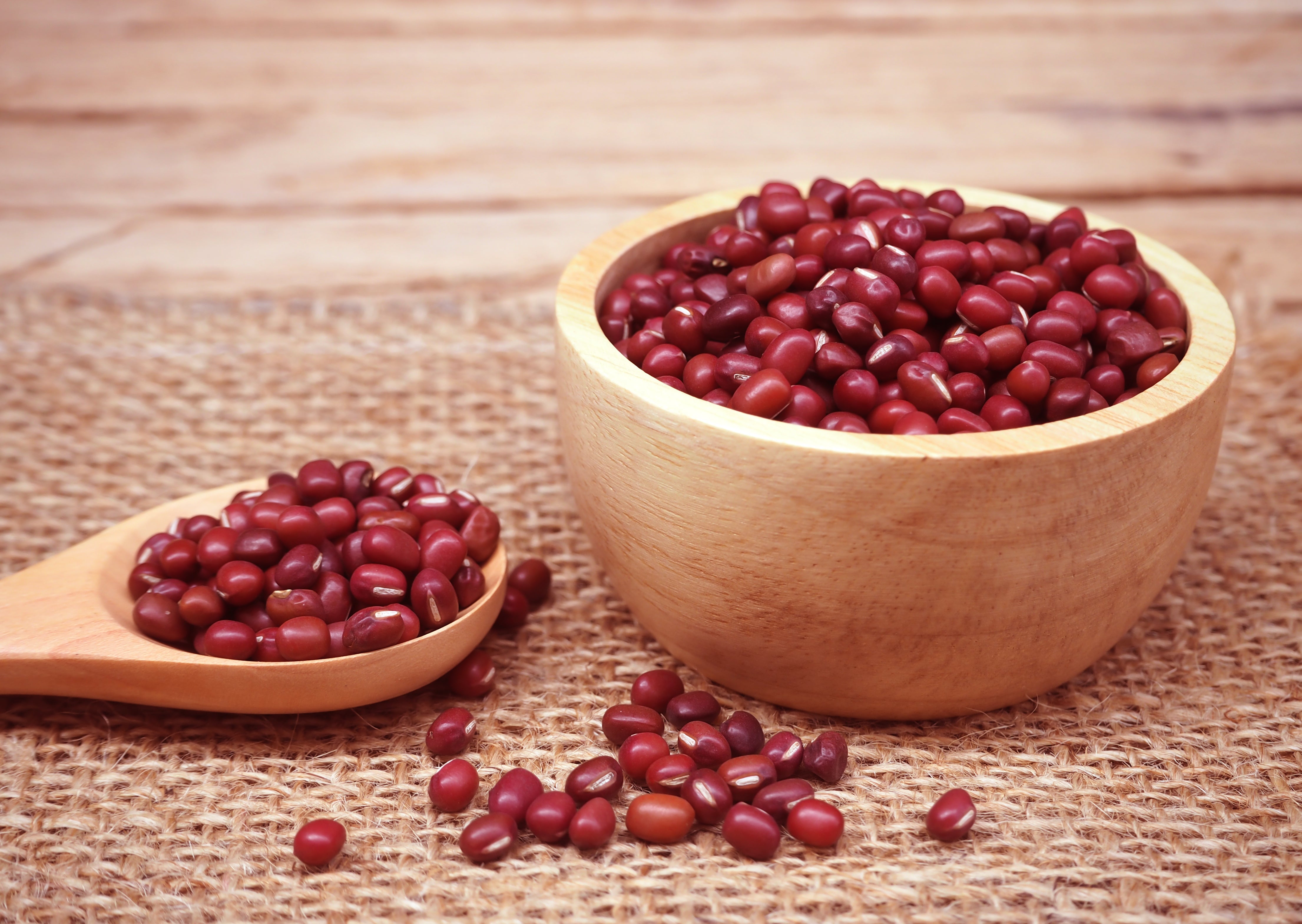 50 ADZUKI BEAN Aduki Red Bean Maroon Phaseolus Angularis Legume