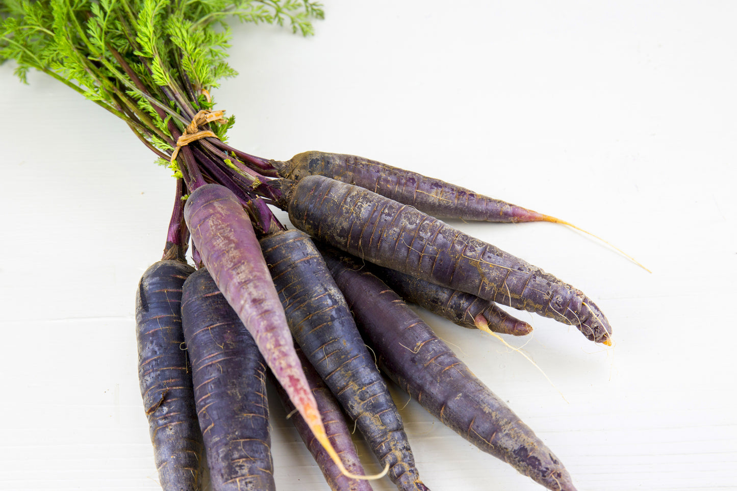 300 BLACK NEBULA CARROT Daucus Carota Root Vegetable Seeds