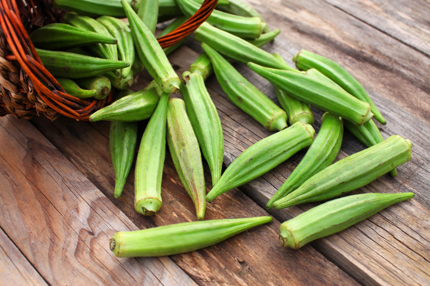 150 EMERALD GREEN Velvet OKRA Spineless Abelmoschus Esculentus Vegetable Seeds