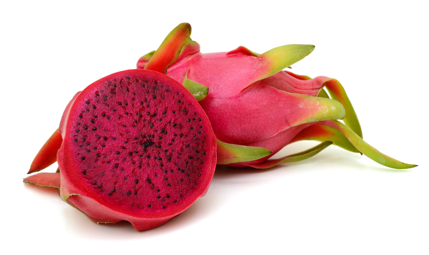 20 PURPLE DRAGON FRUIT (Pitaya / Pitahaya / Strawberry Pear) Hylocereus Undatus Cactus Seeds