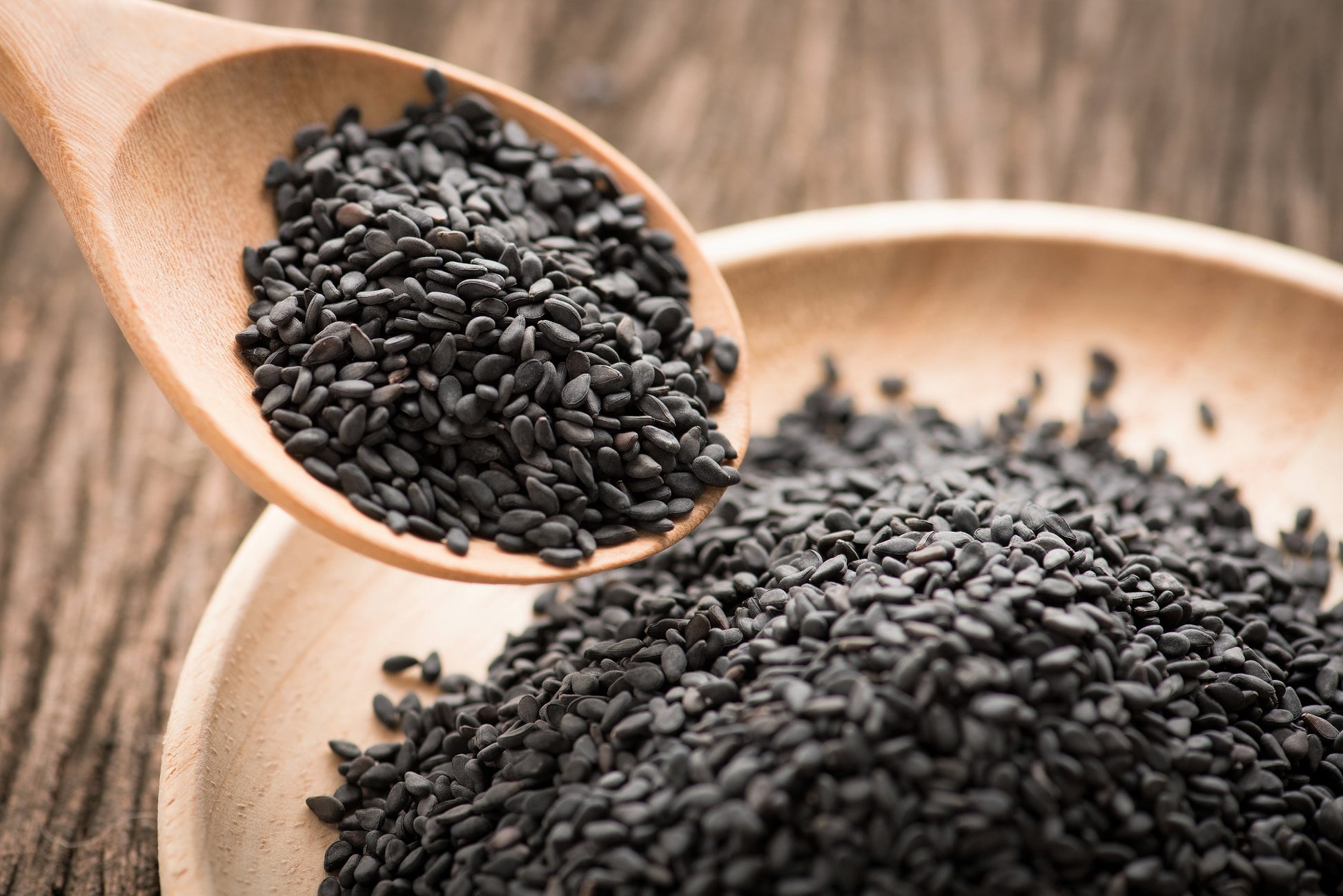 sesame seed flower 1500 BLACK SESAME Sesamum Indicum Vegetable Flower Seeds – Seedville USA
