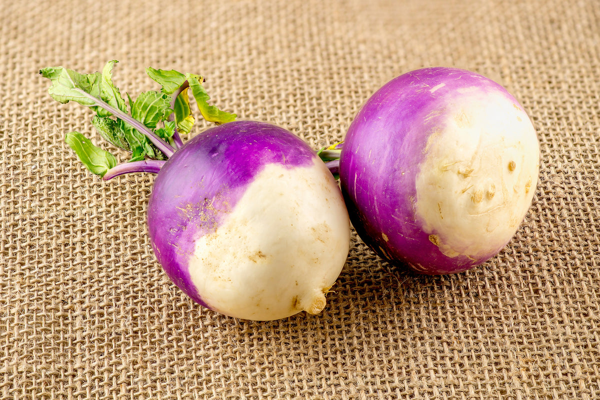 3000 PURPLE Top WHITE Globe TURNIP Brassica Rapa Root Vegetable Seeds