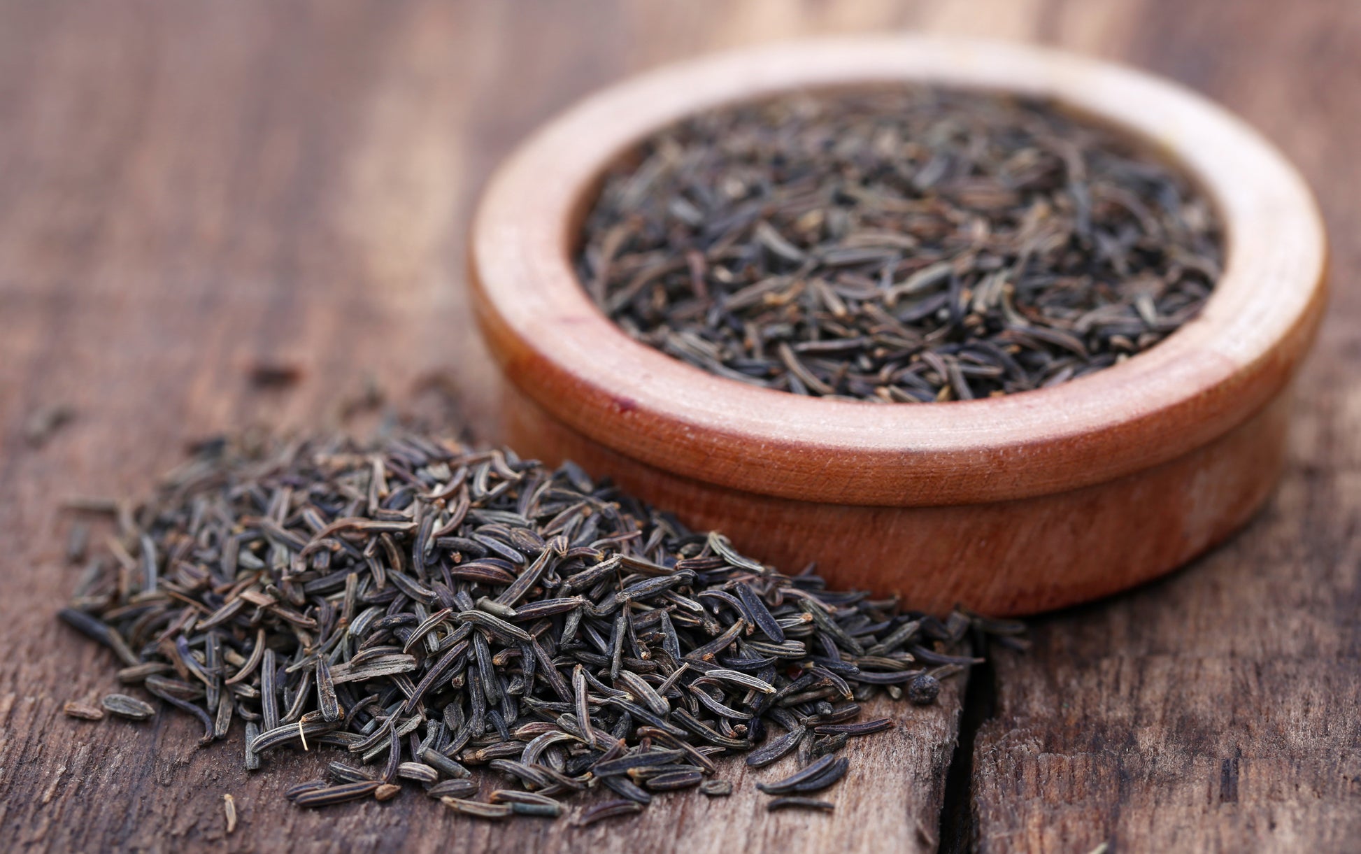 buy cumin seeds for planting 100 Kala Jeera IMPERIAL BLACK CUMIN Spice Plant Bunium Persicum Herb S – Seedville USA