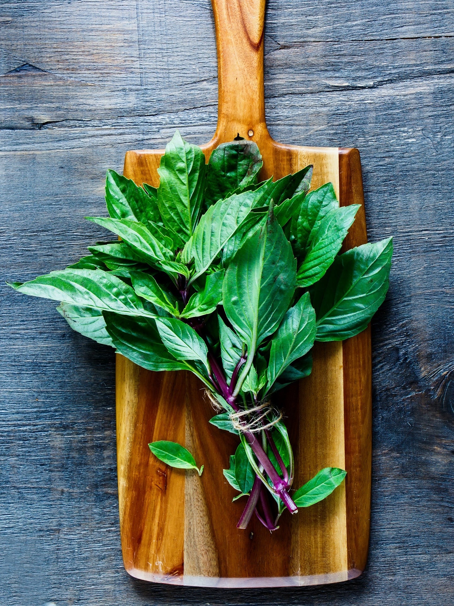 1000 LICORICE BASIL Ocimum Basilicum HERB Flower Seeds