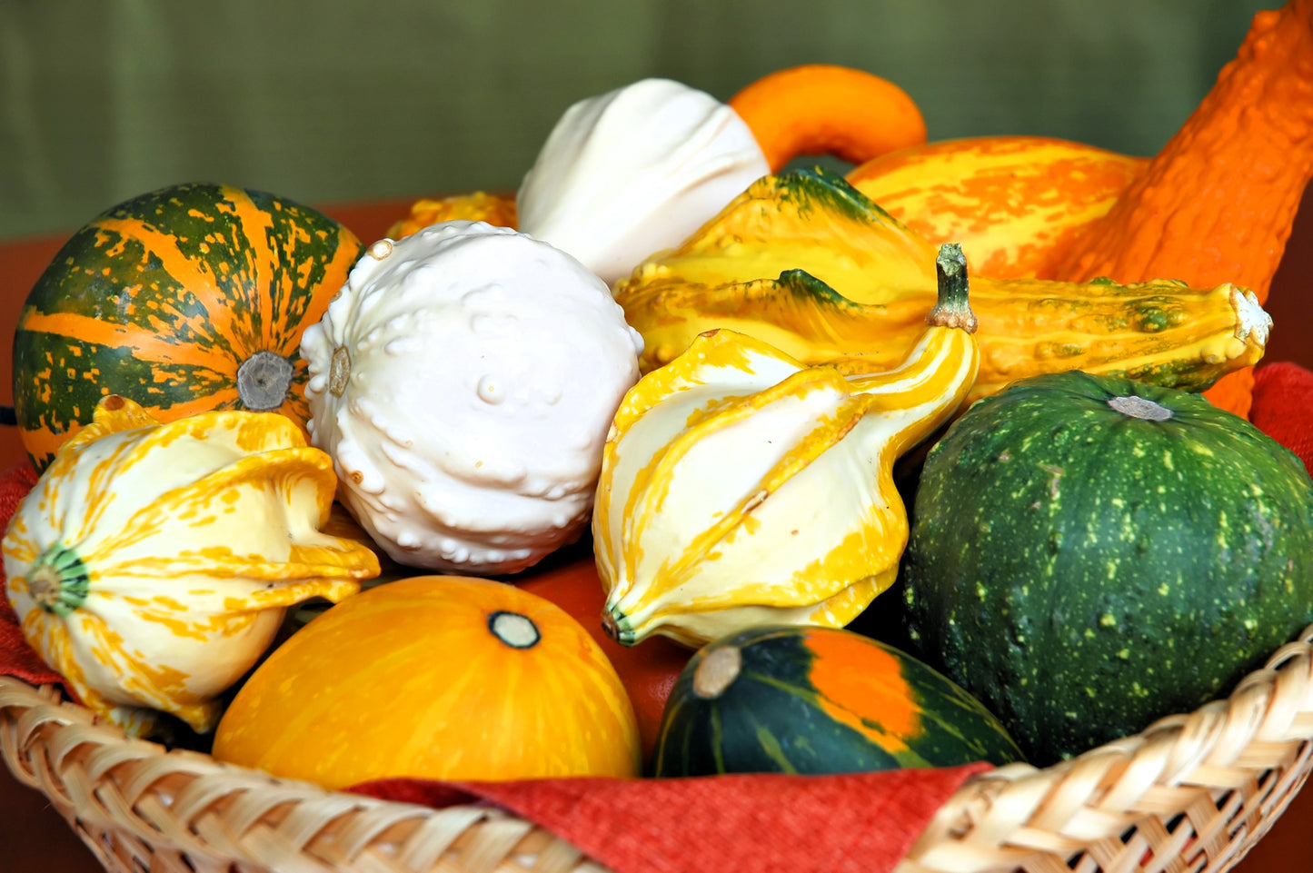 30 MIXED GOURD Lagenaria Siceraria Seeds