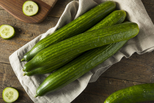 30 ENGLISH CUCUMBER Cucumis Sativus Burpless Fruit Vegetable Seeds