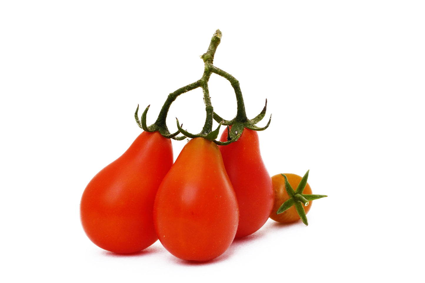 100 RED PEAR TOMATO Lycopersicon Heirloom Indeterminate Fruit Vegetable Seeds