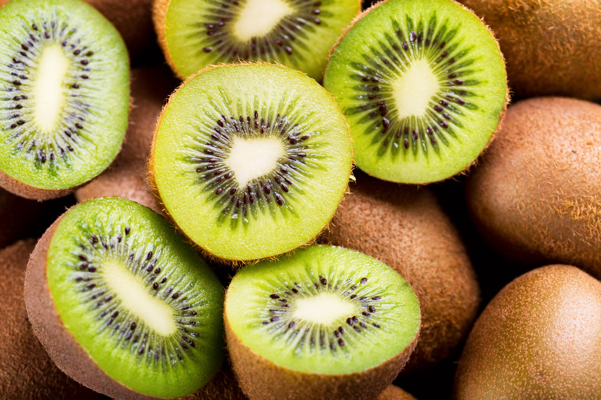kiwi plant seeds 100 KIWI FRUIT Kiwi Actinidia Vine Seeds (Kiwifruit / Hardy Kiwi / Tar – Seedville USA