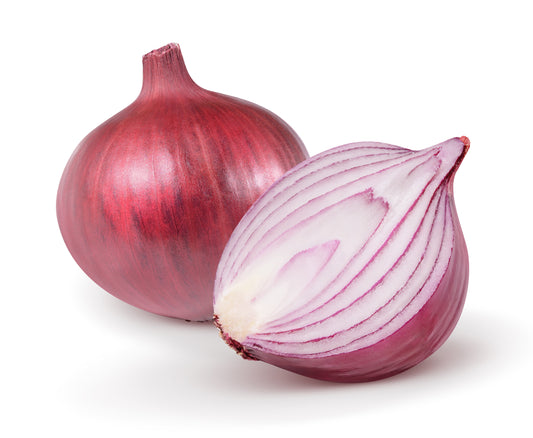 250 RED BURGUNDY ONION Allium Cepa Vegetable Seeds