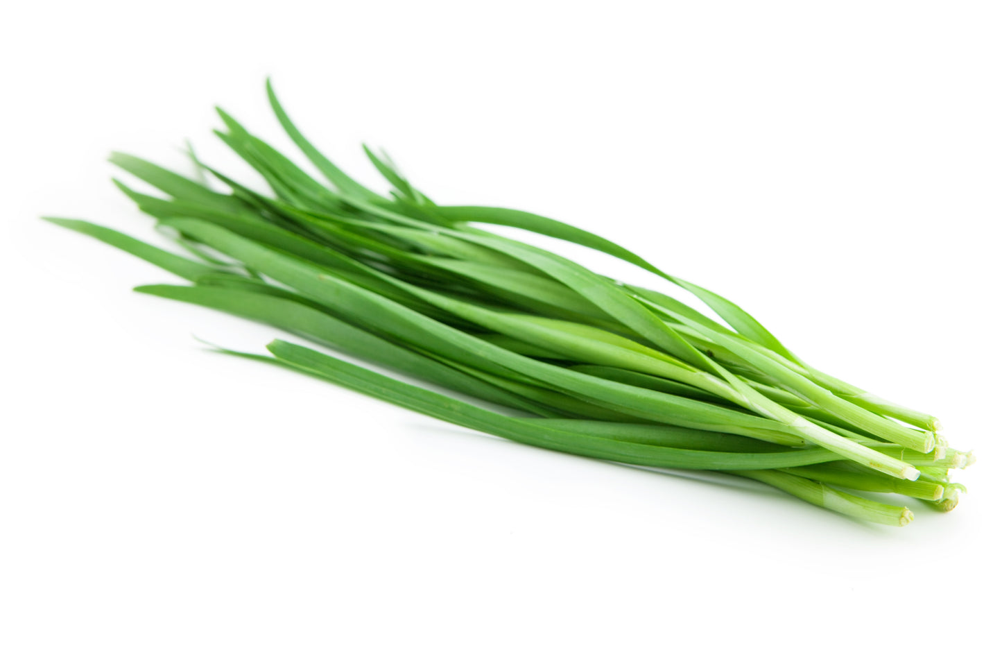 250 GARLIC CHIVE Allium Tuberosum Vegetable Seeds