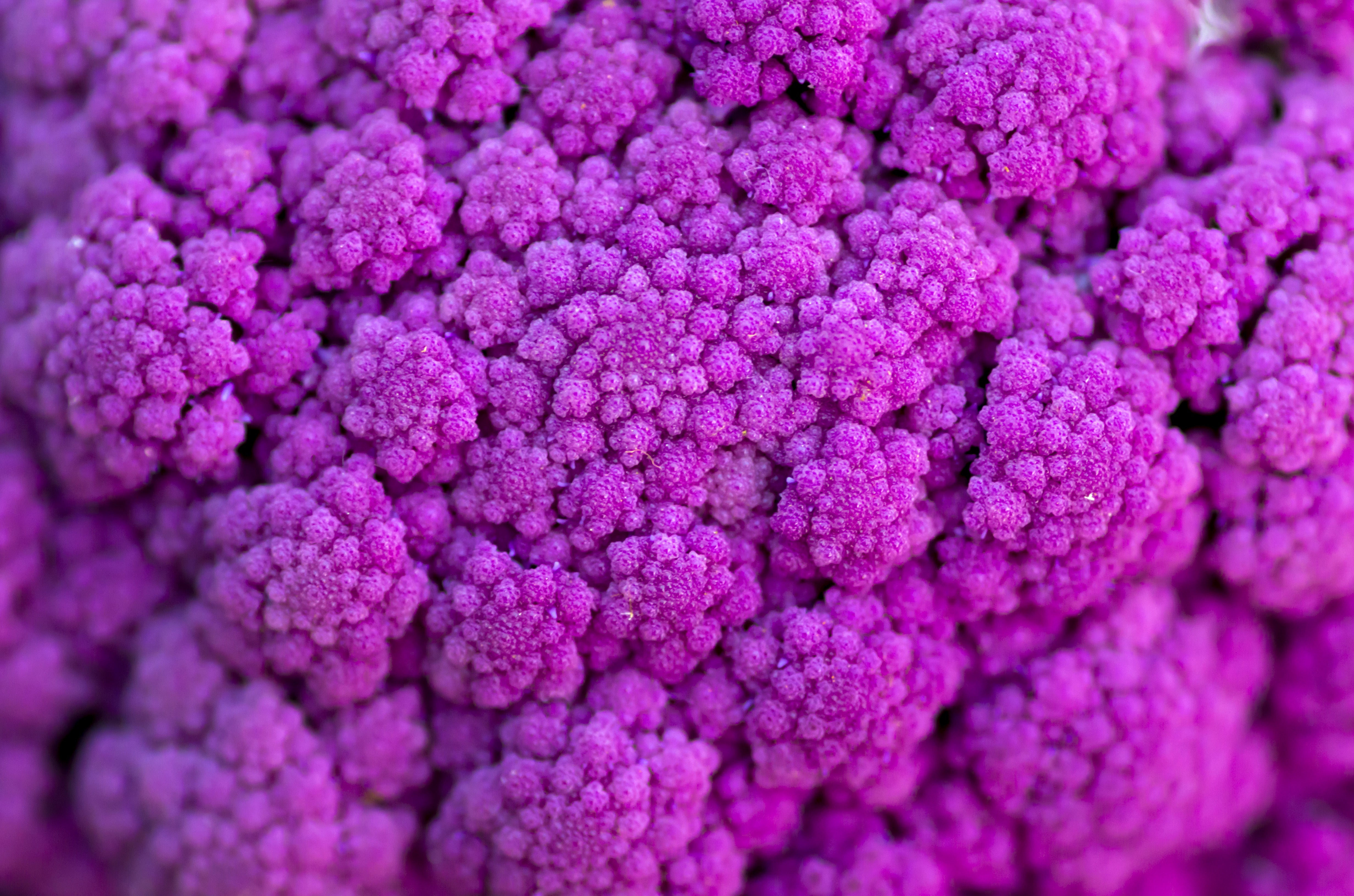 Cauliflower on Craiyon