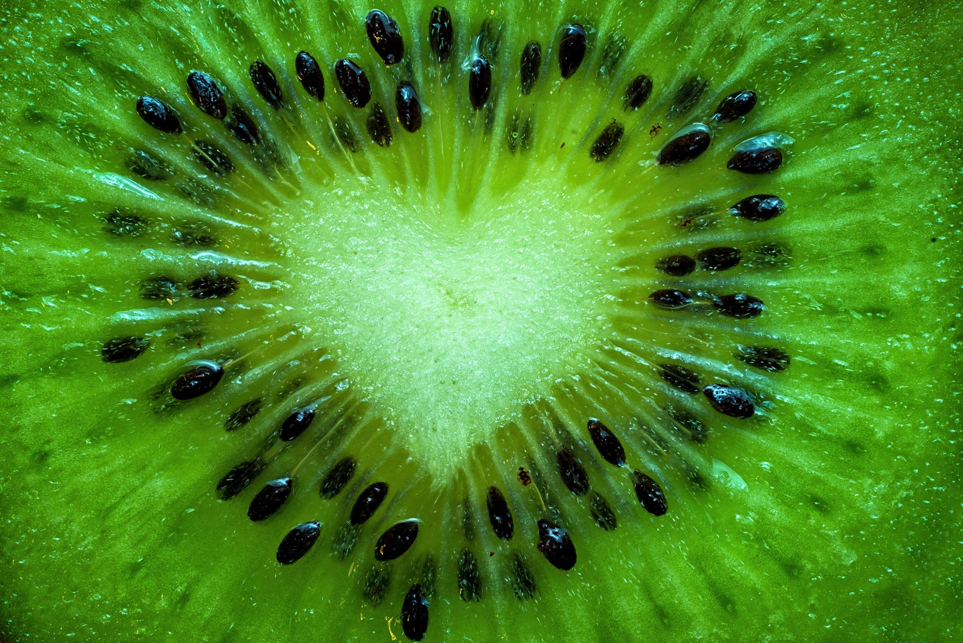 Kiwi Fruit (Actinidia chinensis) - 100 Seeds