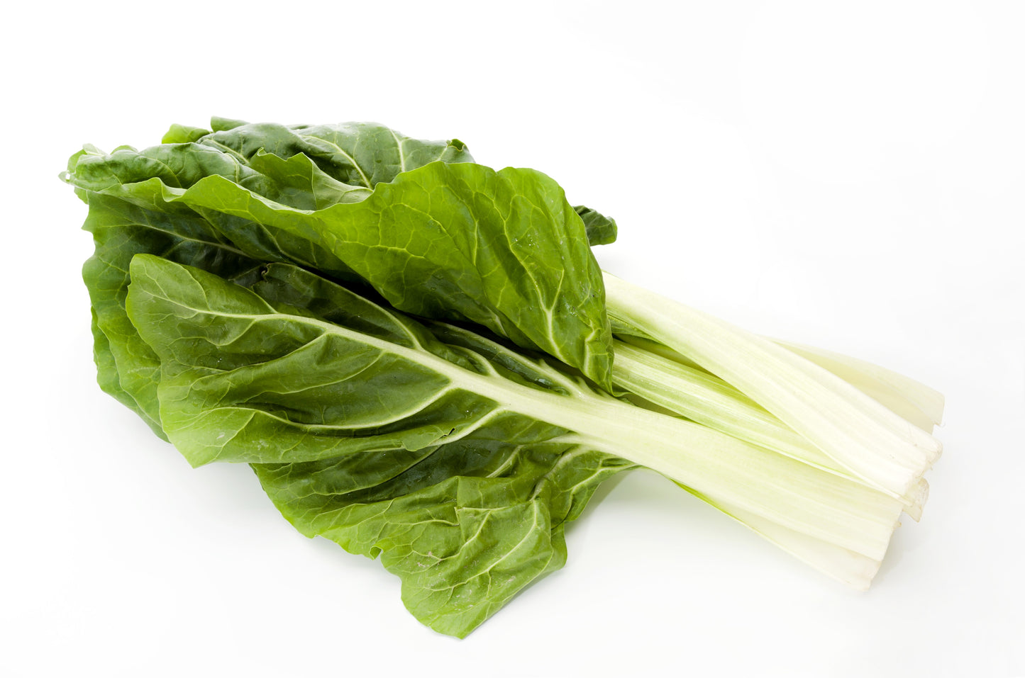 250 BARESE SWISS CHARD White Rib Perpetual Spinach Beta Vulgaris Vegetable Seeds