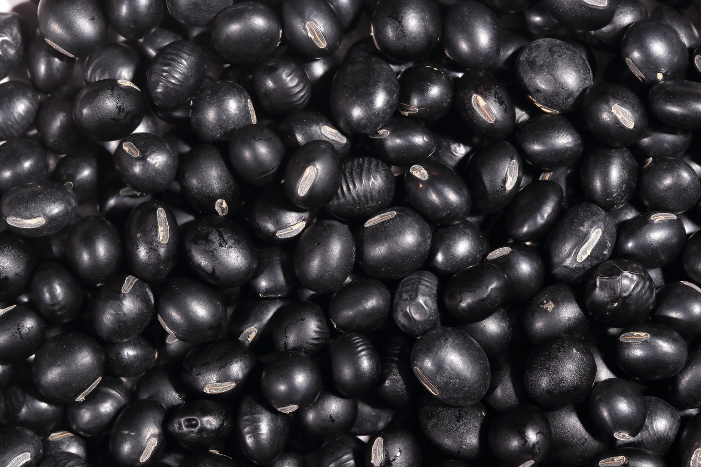 25 Sweet BLACK JET SOYBEAN Edamame Bean Glycine Max Vegetable Legume Seeds