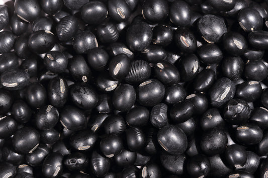 25 Sweet BLACK JET SOYBEAN Edamame Bean Glycine Max Vegetable Legume Seeds