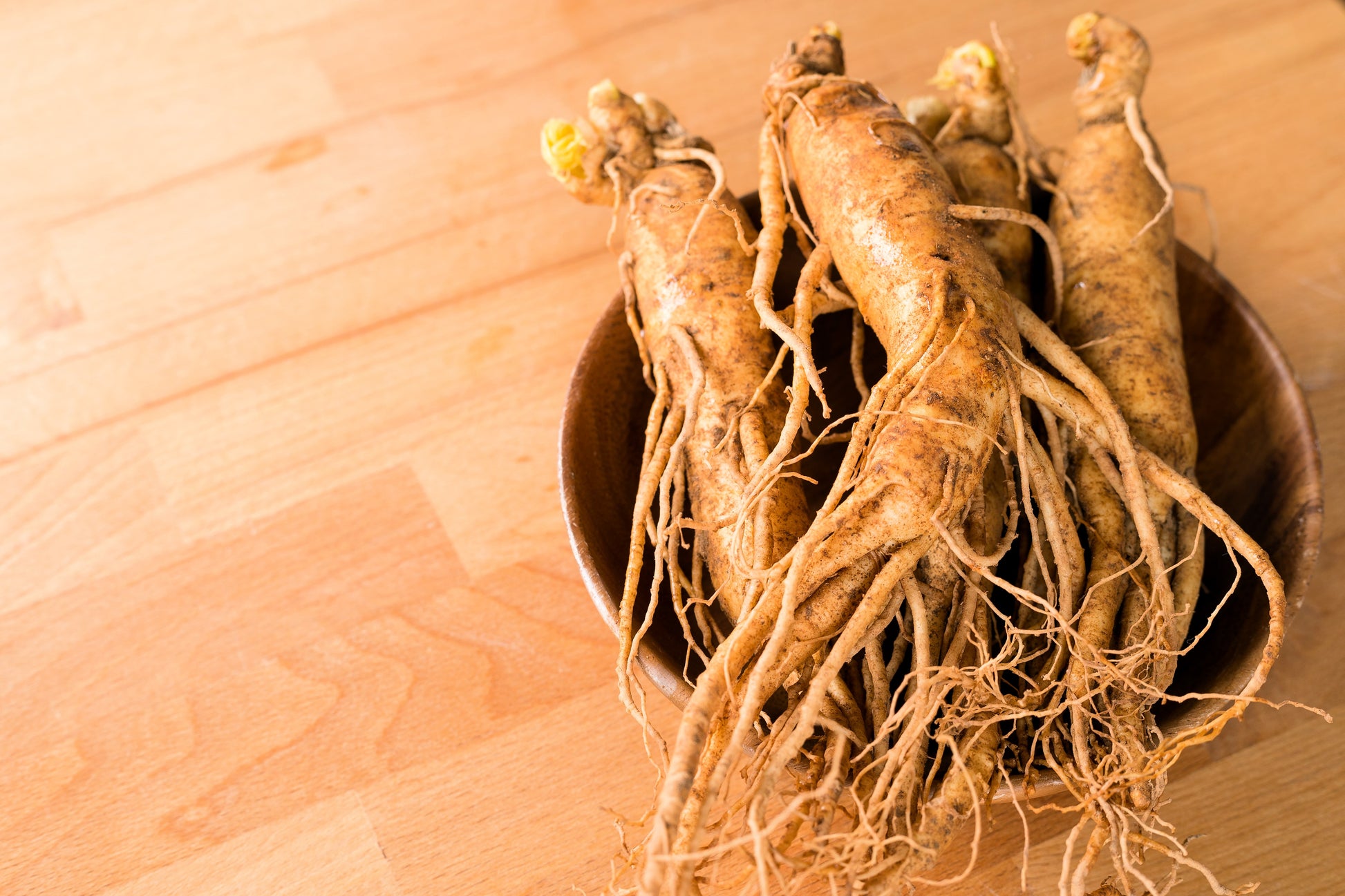 ginseng plant seeds for sale 15 Asian KOREAN GINSENG Panax Shade Chinese Herb Seeds – Seedville USA