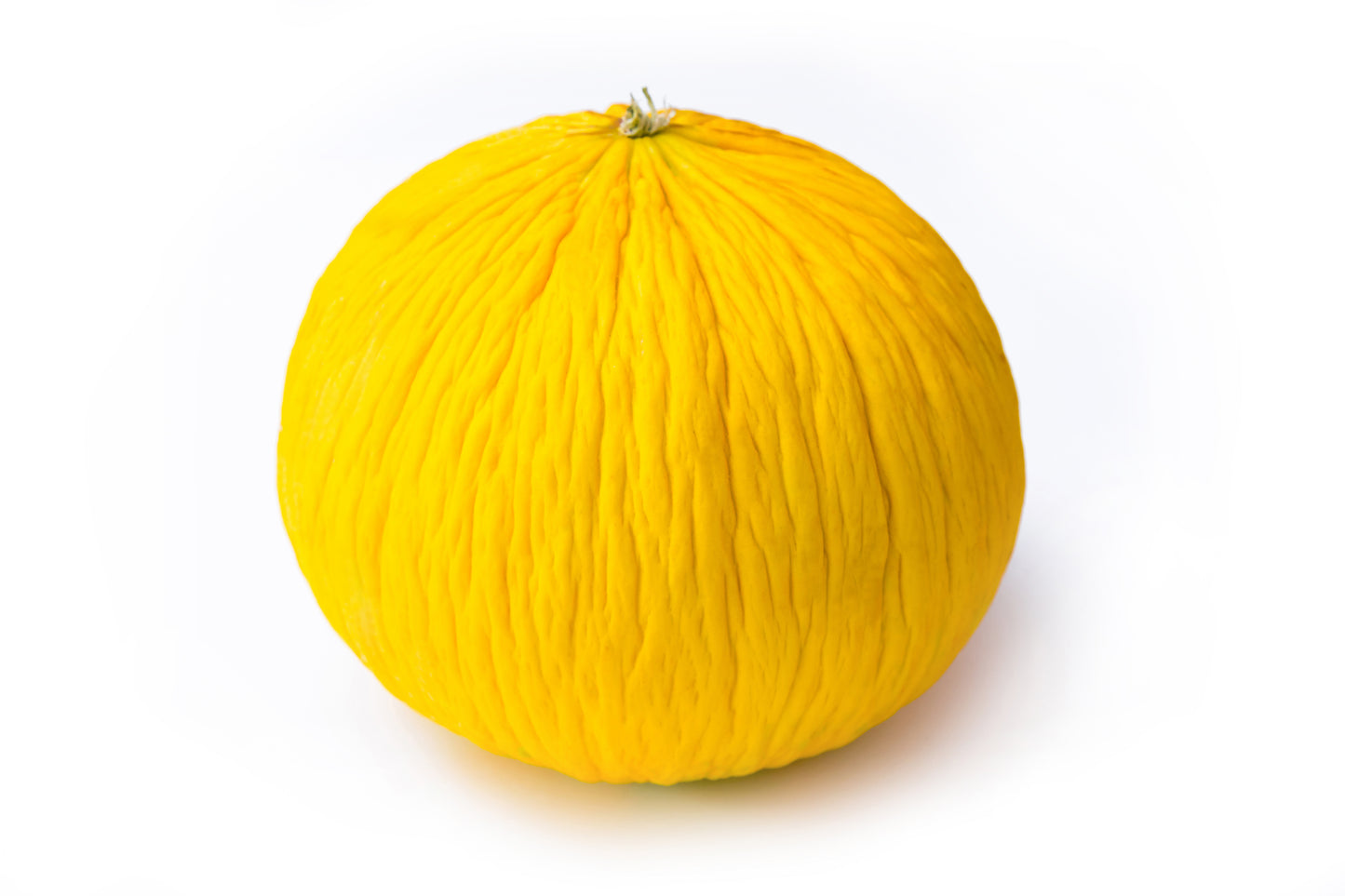 50 Golden Beauty CASABA MELON Cucumis Melo Fruit Seeds