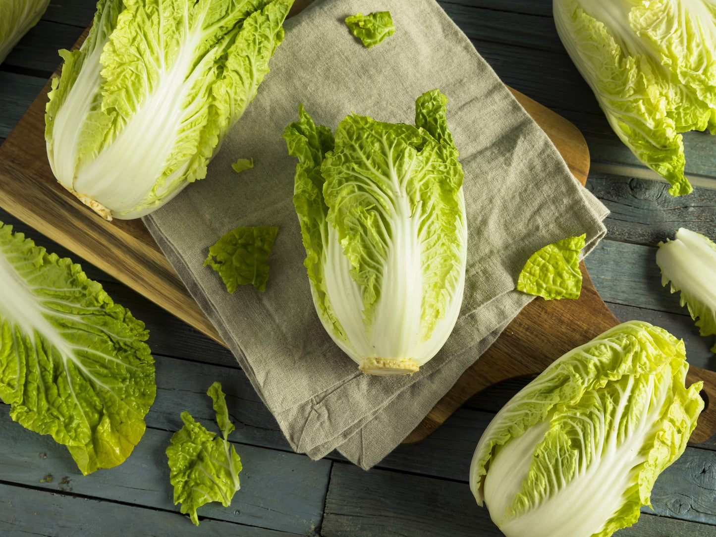 500 MICHIHILI CABBAGE (Chinese Cabbage / Bok Choy / Pak Choi / Celery Mustard / Chinese Chard) Brassica Rapa Chinensis Vegetable Seeds