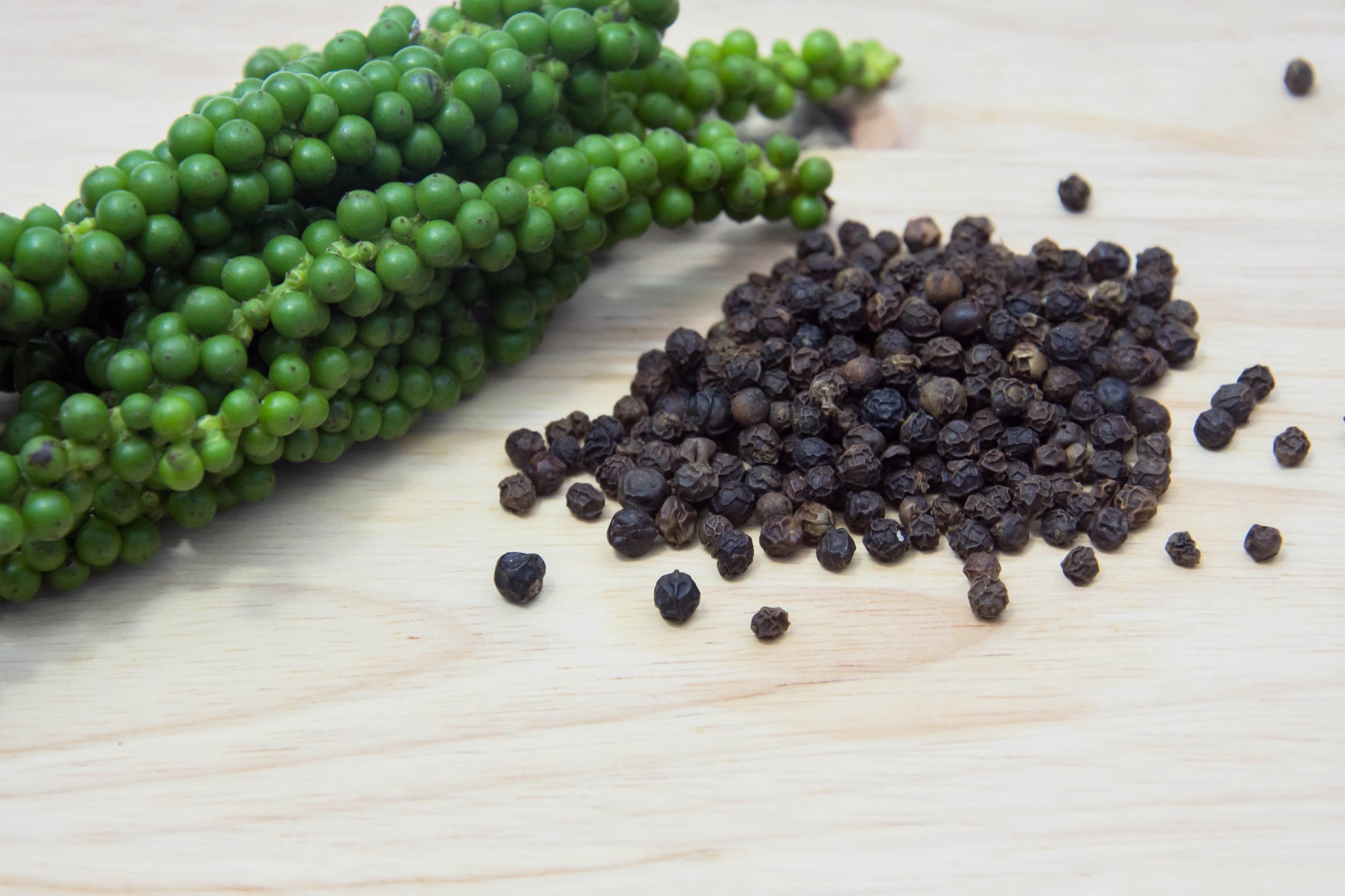 black peppercorn plant seeds 25 BLACK PEPPERCORN Black Pepper Piper Nigrum Spice Vine Seeds