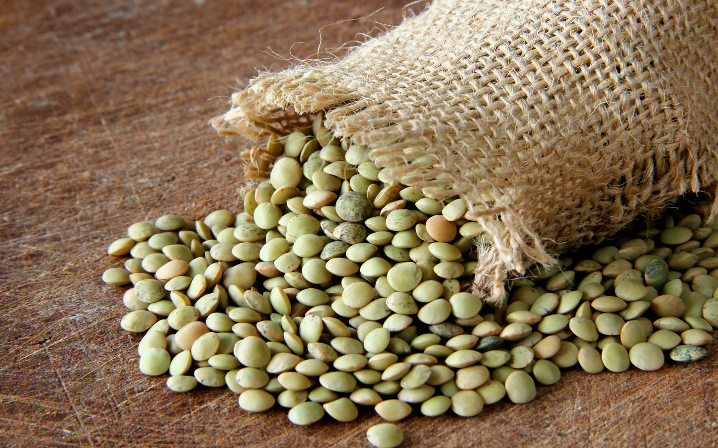 100 GREEN LENTIL Lentils Lens Culinaris Vegetable Seeds