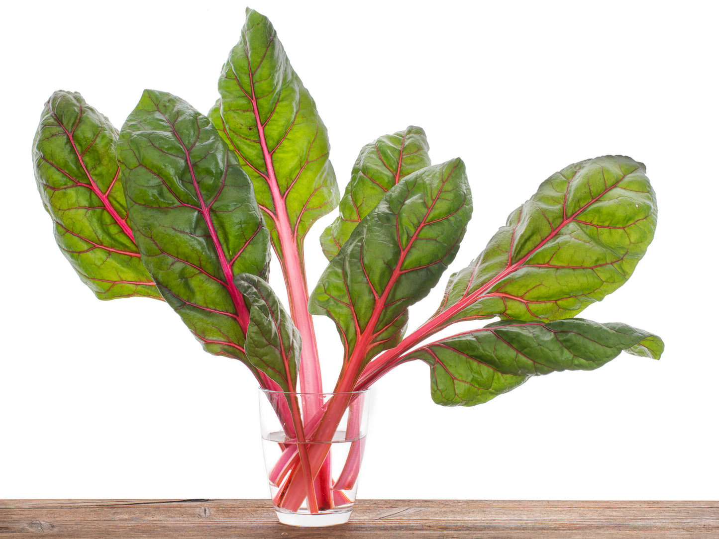 40 PINK FLAMINGO SWISS CHARD Beta Vulgaris Perpetual Spinach Vegetable Seeds