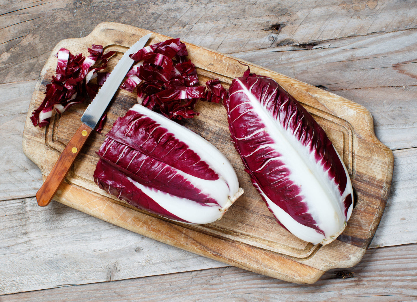 100 RADICCHIO DI TREVISO Radicchio Rose Vegetable Seeds