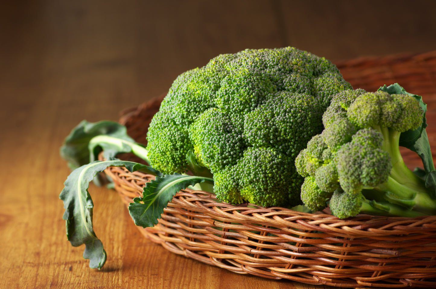 1000 Organic DE CICCO BROCCOLI Di Cicco Brassica Oleracea Capitata Vegetable Seeds