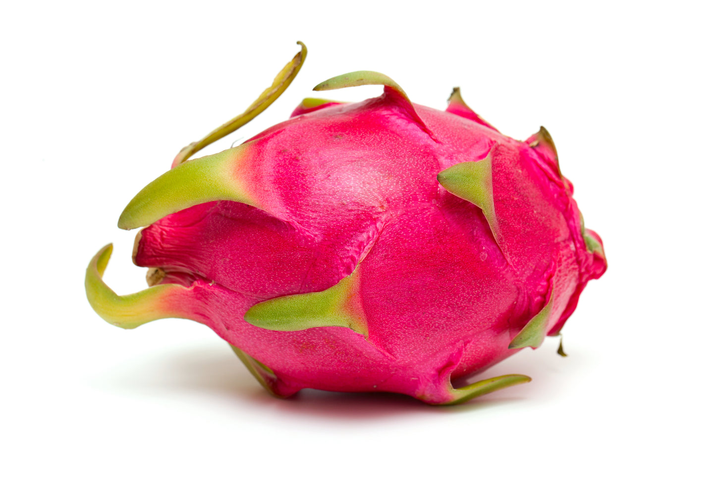 20 PURPLE DRAGON FRUIT (Pitaya / Pitahaya / Strawberry Pear) Hylocereus Undatus Cactus Seeds