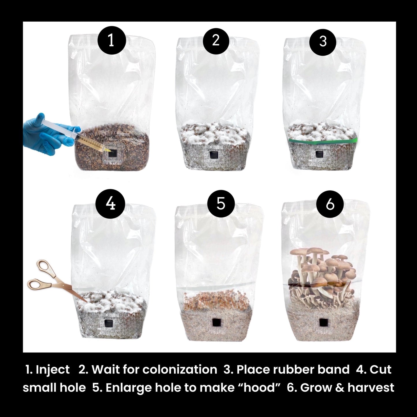 4-Pack 'ShroomTek' All-in-One Mushroom Grow Bag
