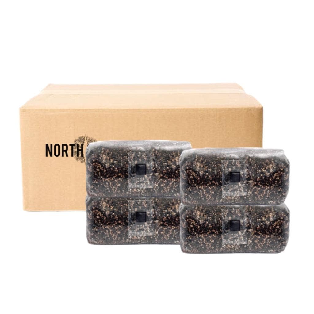 4-Pack 'ShroomTek' All-in-One Mushroom Grow Bag