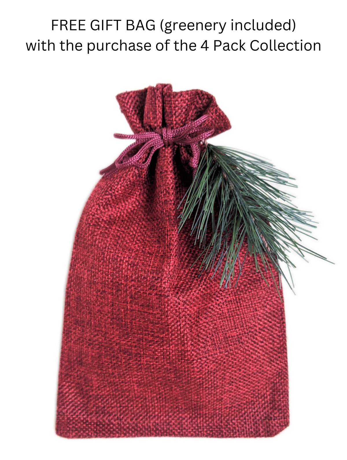 Grow Your Own CHRISTMAS TREE COLLECTION - 4 Gift Packets of Tree Seeds ...