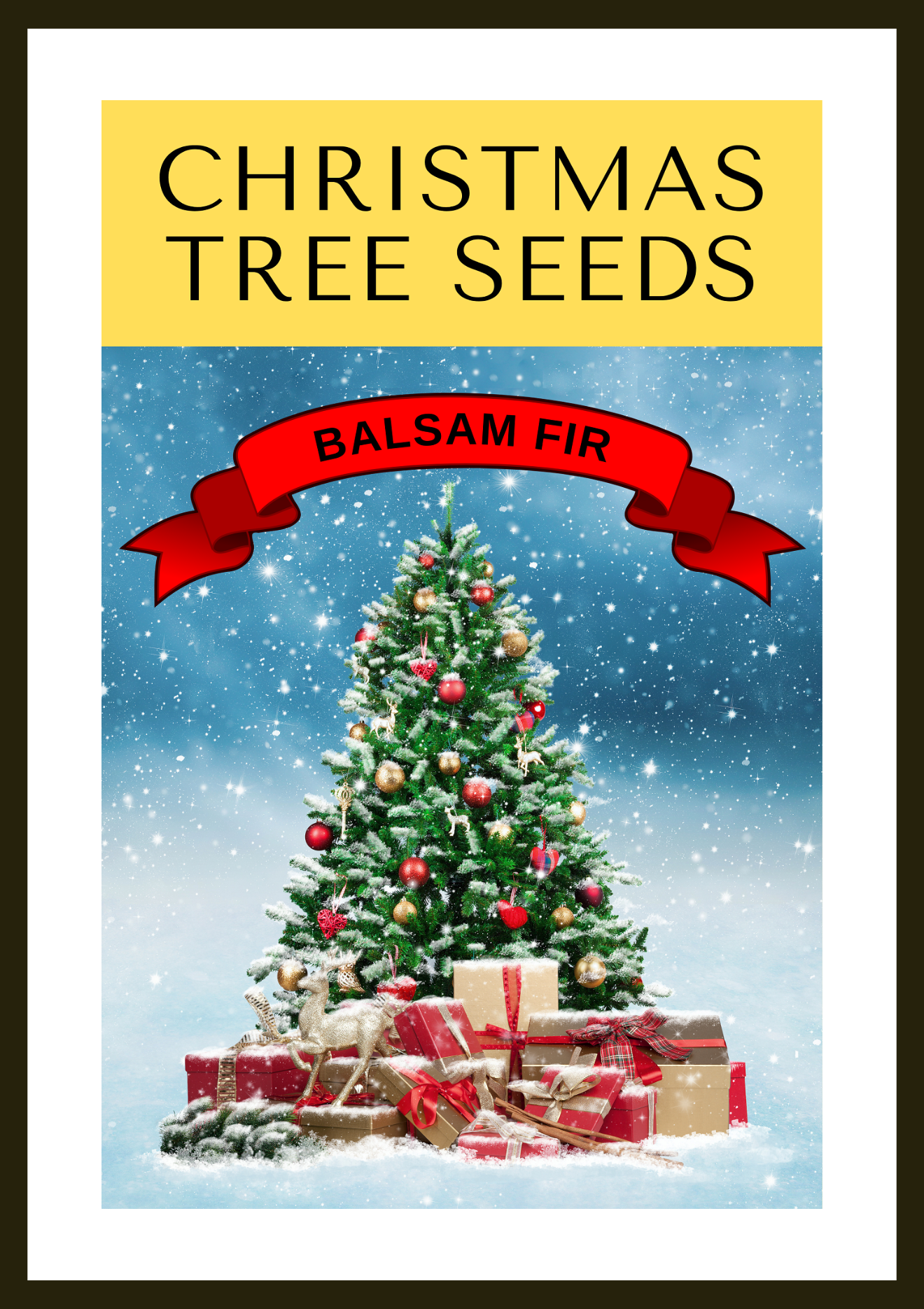 Grow Your Own CHRISTMAS TREE - Balsam Fir ( Abies Balsamea ) Gift Packet of Tree Seeds