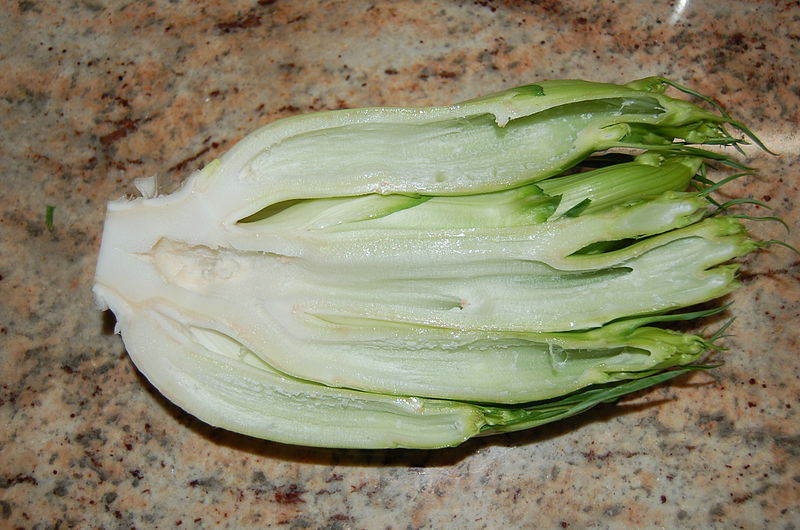 250 CICORIA CATALOGNA Puntarelle Chicorium Chicory Vegetable Seeds