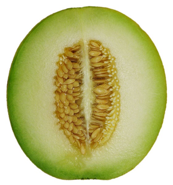 75 Green Flesh ROCKY FORD CANTALOUPE Muskmelon Cucumis Melo Melon Fruit Seeds