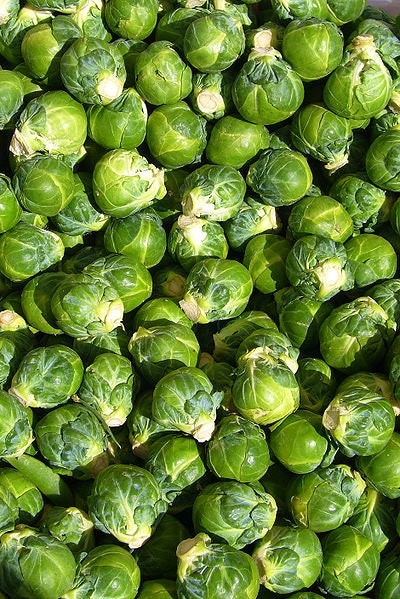 400 CATSKILL BRUSSEL SPROUT Sprouts Brassica Oleracea Vegetable Seeds